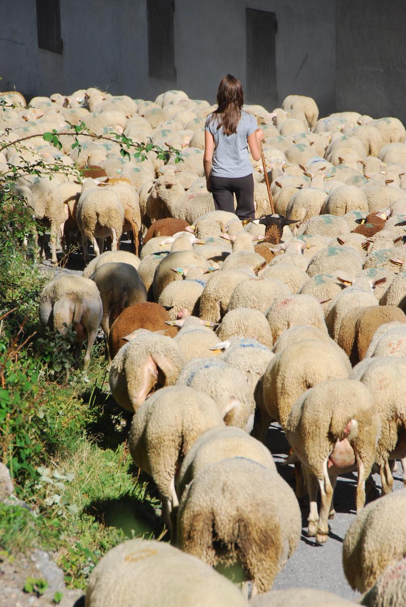 مبيت وإفطار شاتورو ليزالب La Ferme De Beaute المظهر الخارجي الصورة